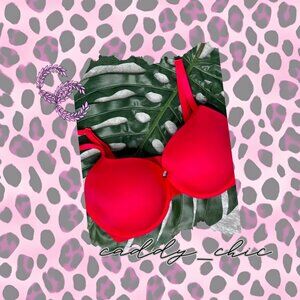 EUC PINK Lightly Lined T-Shirt Bra 34DDD - Red